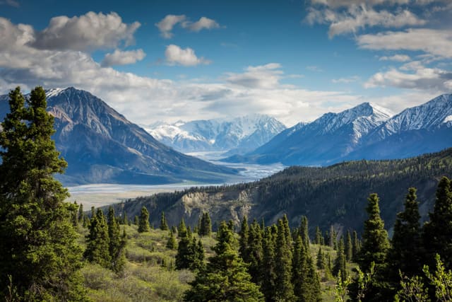 Kluane mountain valley with snow-capped peaks and forested foreground